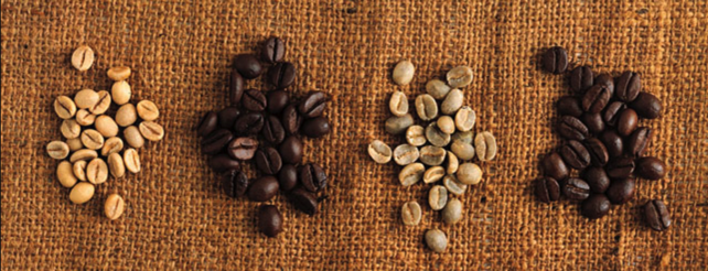 Arabica vs. Robusta Coffee Beans
